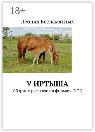 Леонид Беспамятных. У Иртыша. Сборник рассказов в формате DOC