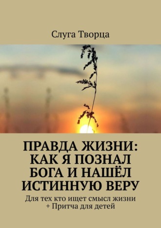 Слуга Творца. Правда жизни: как я познал Бога и нашёл истинную веру. Для тех кто ищет смысл жизни + Притча для детей