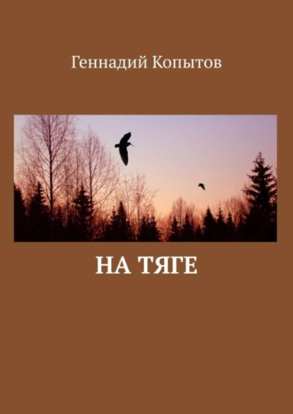 Геннадий Копытов. На тяге