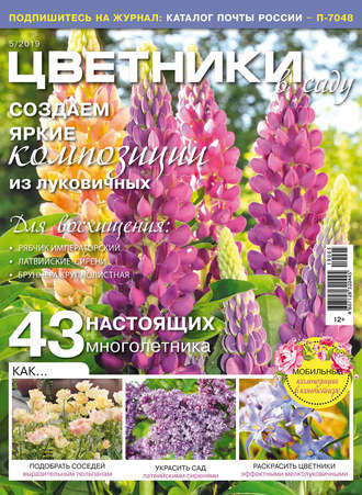 . Цветники в саду №05/2019