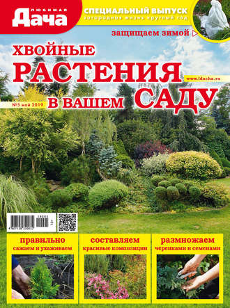 . Любимая дача. Спецвыпуск №05/2019. Хвойные растения в вашем саду