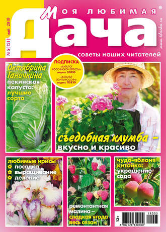 . Моя любимая дача №05/2019