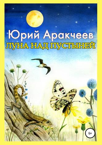 Юрий Сергеевич Аракчеев. Луна над пустыней
