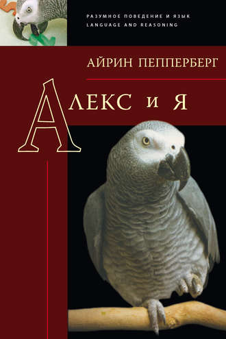 Айрин Пепперберг. Алекс и я
