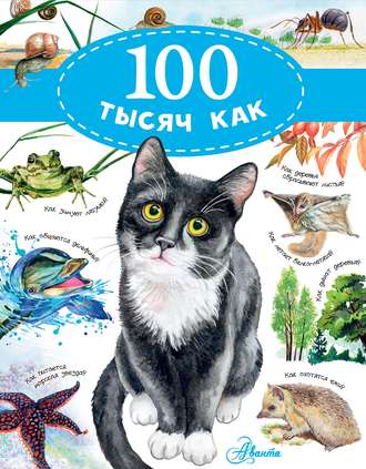 . 100 тысяч как