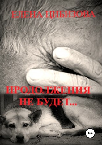 Елена Викторовна Цибизова. Продолжения не будет…