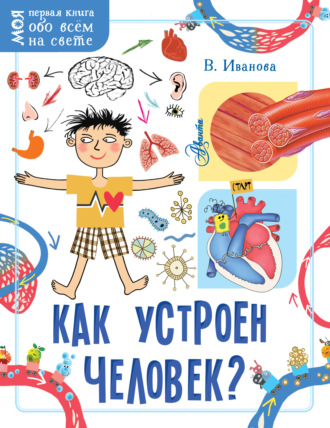 . Как устроен человек?