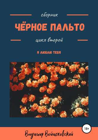 Владимир Александрович Смирнов. Чёрное пальто. Я люблю тебя. Сборник стихотворений. Цикл второй