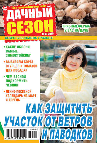 . Дачный сезон №03/2019