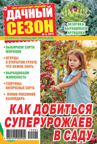 . Дачный сезон №04/2019