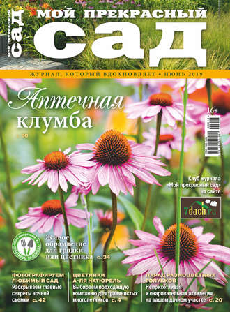 . Мой прекрасный сад №06/2019