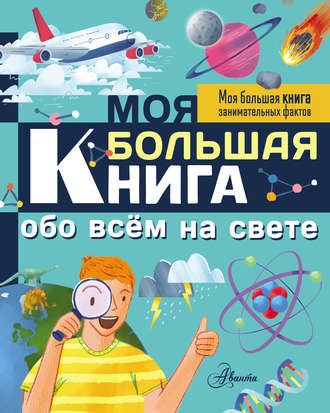 Лиза Риган. Моя большая книга обо всём на свете