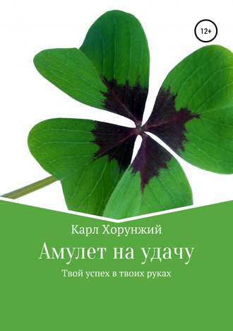 . Амулет на удачу. Твой успех в твоих руках