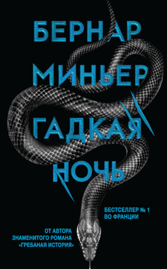 Бернар Миньер. Гадкая ночь