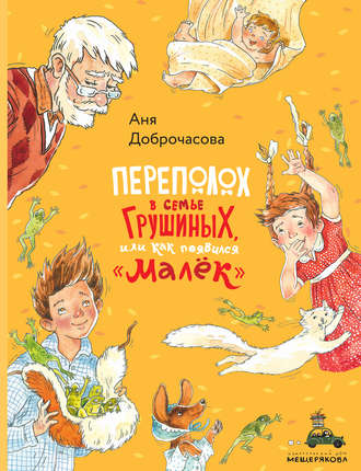 Аня Доброчасова. Переполох в семье Грушиных, или Как появился «Малёк»