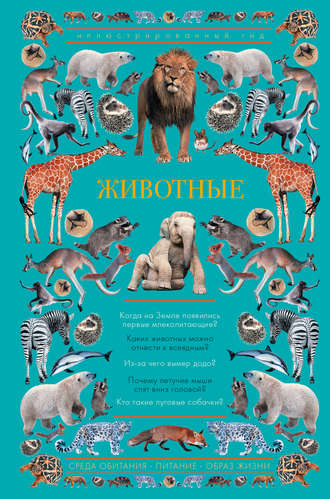 . Животные. Иллюстрированный гид