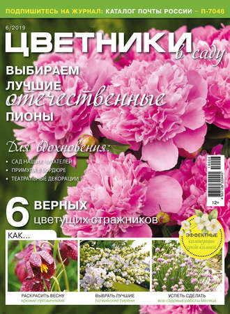 . Цветники в саду №06/2019