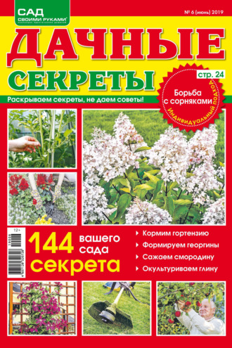 . Сад своими руками. Дачные секреты №06/2019