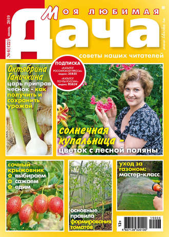 . Моя любимая дача №06/2019