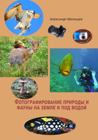 Александр Матанцев. Фотографирование природы и фауны на земле и под водой