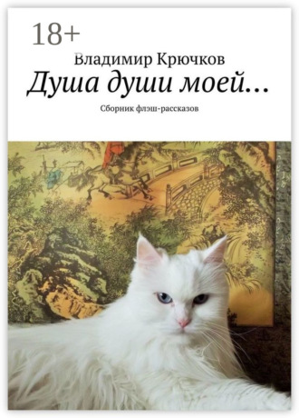 . Душа души моей… Сборник флэш-рассказов