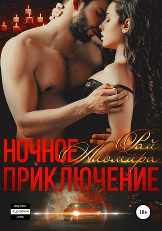 . Ночное приключение