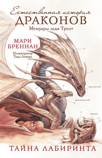 Мари Бреннан. Мемуары леди Трент: Тайна Лабиринта