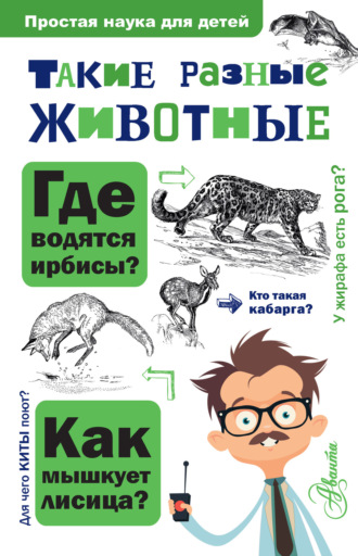 . Такие разные животные