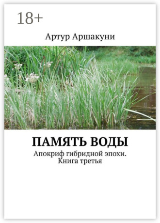 . Память воды. Апокриф гибридной эпохи. Книга третья