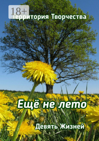 Валентина Спирина. Ещё не лето. Девять Жизней
