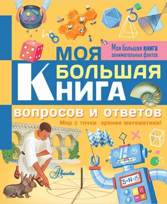 . Моя большая книга вопросов и ответов. Мир с точки зрения математики!