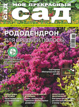 . Мой прекрасный сад №07/2019
