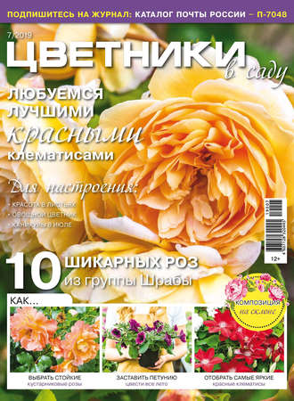 . Цветники в саду №07/2019