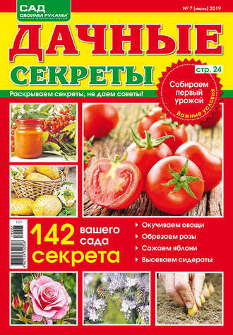 . Сад своими руками. Дачные секреты №07/2019