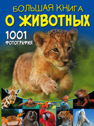 . Большая книга о животных. 1001 фотография
