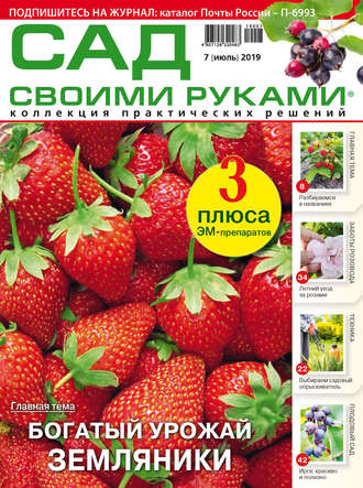 . Сад своими руками №07/2019