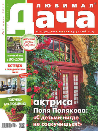 . Любимая дача №07/2019