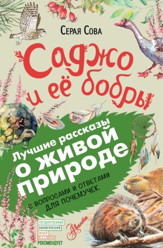 . Саджо и ее бобры. С вопросами и ответами для почемучек