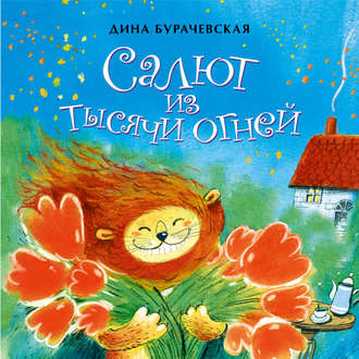 . Салют из тысячи огней