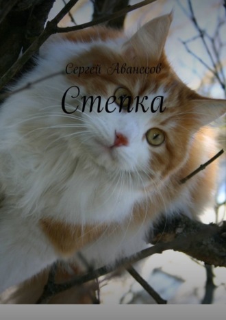 Сергей Аванесов. Степка