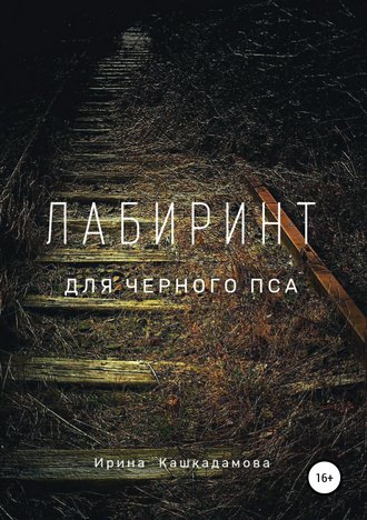 Ирина Кашкадамова. Лабиринт для черного пса
