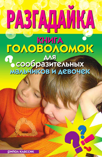 . Разгадайка. Книга головоломок для сообразительных мальчиков и девочек