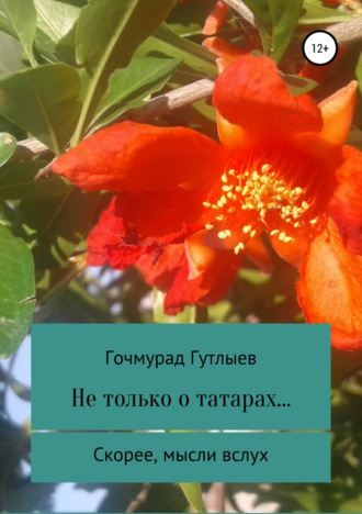 Гочмурад Гутлыев. Не только о татарах… Скорее, мысли вслух