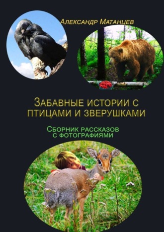 Александр Матанцев. Забавные истории с птицами и зверушками. Сборник рассказов с фотографиями