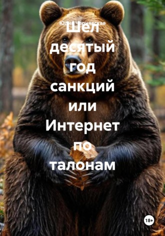 . Шел десятый год санкций или Интернет по талонам