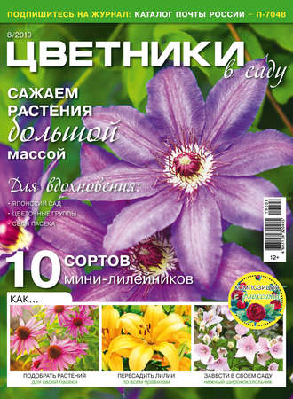 . Цветники в саду №08/2019
