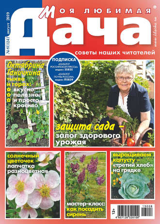 . Моя любимая дача №08/2019
