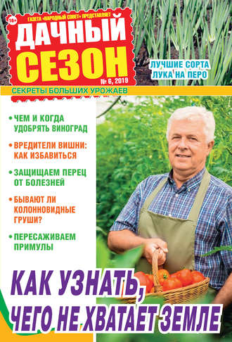 . Дачный сезон №06/2019