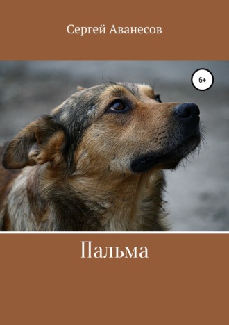 . Пальма
