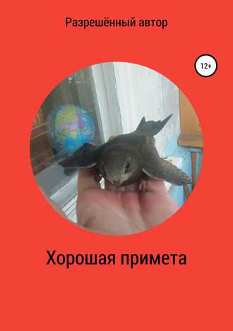 Разрешённый Автор. Хорошая примета